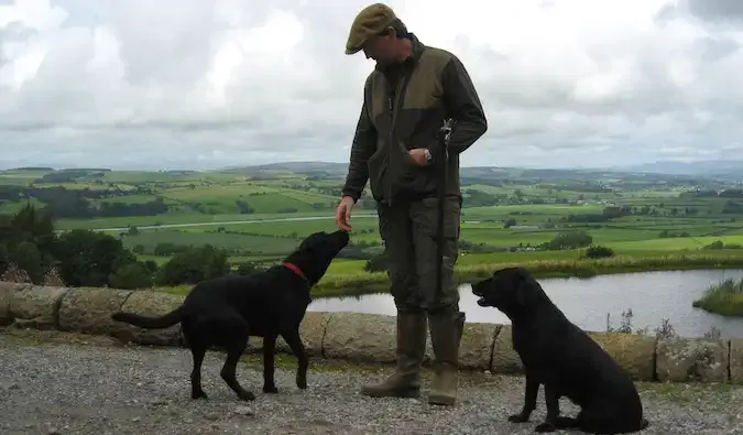 Un uomo britannico con due cani vicino al lago in Inghilterra