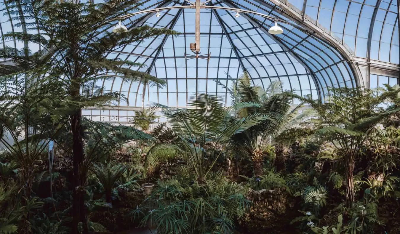 Dentro de uma estufa em Belle Island, em Detroit, EUA