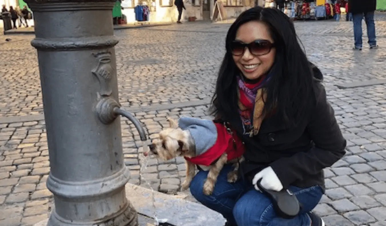 Une voyageuse seule parcourant le monde avec son petit chien qui boit de l'eau d'une fontaine en Europe