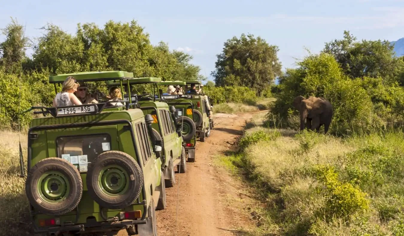 Isang hilera ng mga berdeng jeep na nagmamaneho sa bush habang nasa safari sa East Africa