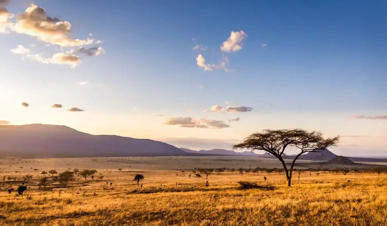 saulėlydis savanos lygumose Tsavo Rytų nacionaliniame parke, Kenijoje