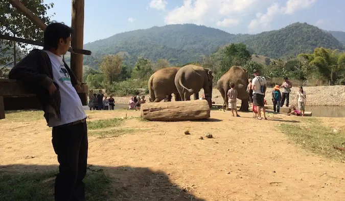 Viatgers de l'Elephant Nature Park interactuant amb els elefants