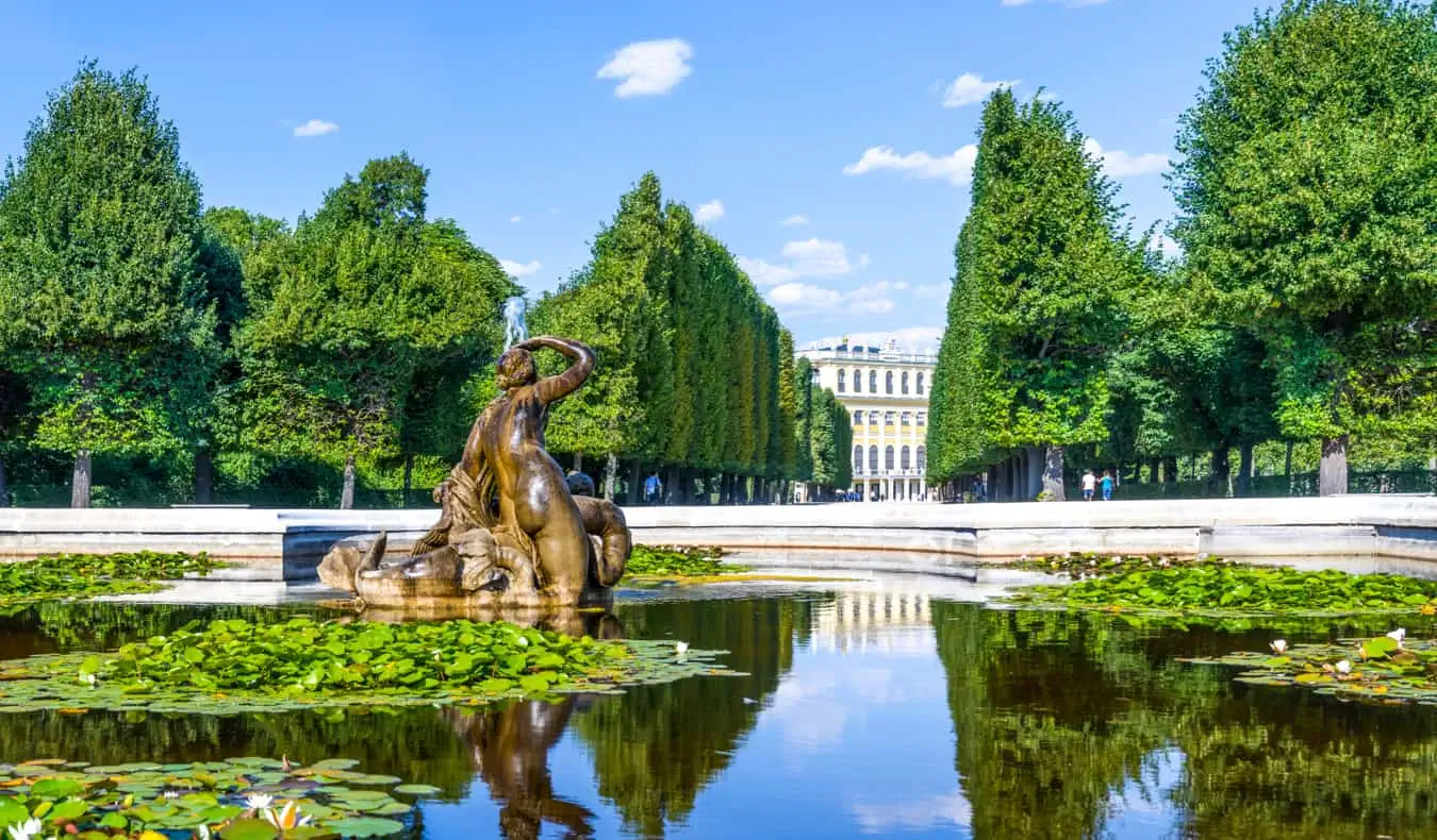 Klidná fontána odrážející stromy poblíž paláce ve Vídni, Rakousko