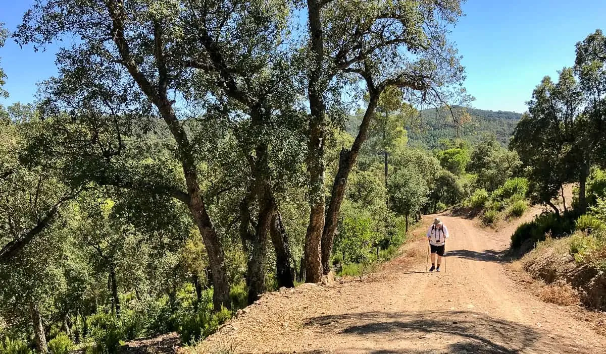 Um idoso aposentado caminhando em uma estrada de terra