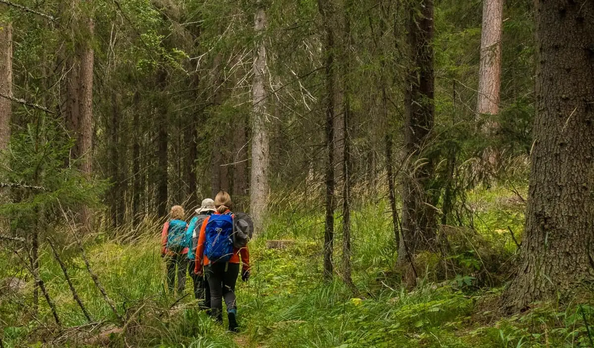 Sekumpulan warga emas bersara mendaki di dalam hutan