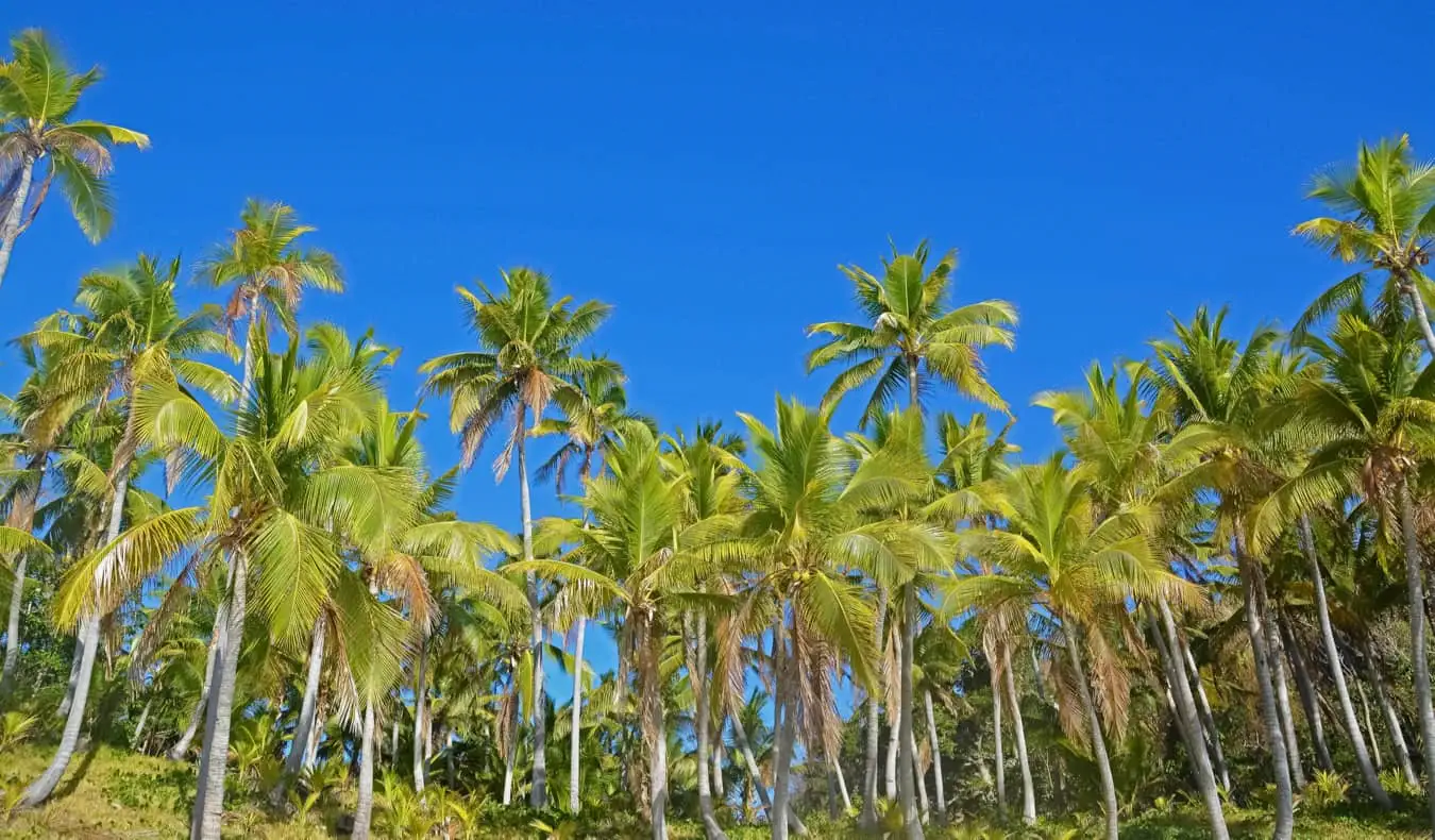 Het kleine eiland Beachcomber op de Yasawa-eilanden in Fiji