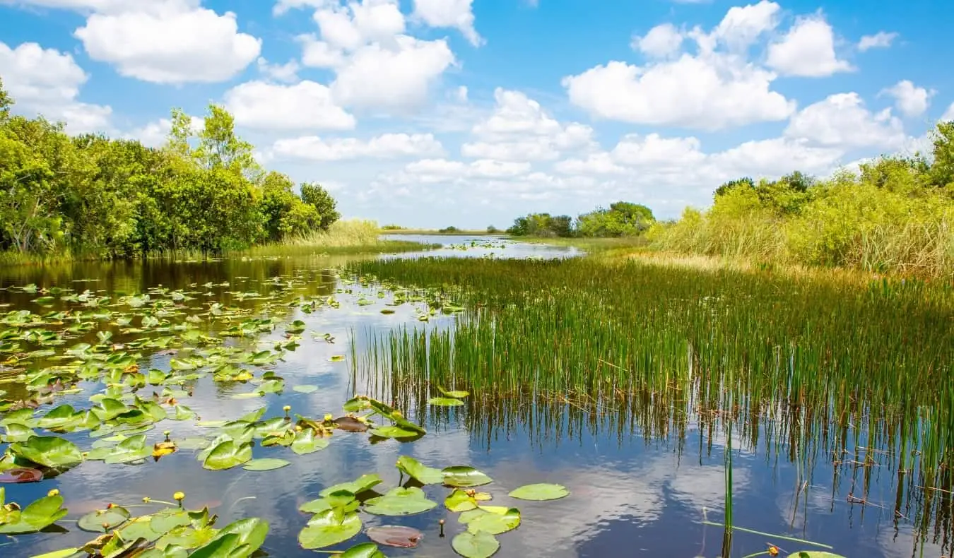 Bažinaté vodní cesty Florida Everglades poblíž Miami, USA