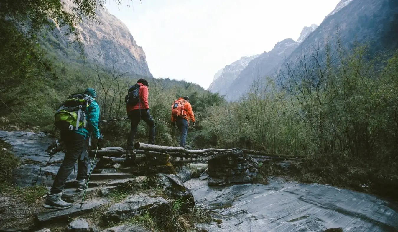 En grupp vandrare korsar en träbro på väg mot bergen i Annapurna-regionen i Himalaya.