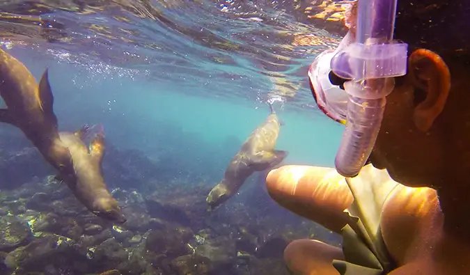 Heather snorkeling a Galápagos-szigeteken