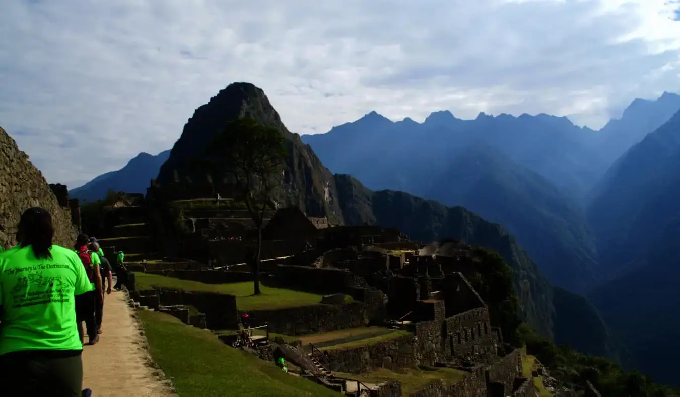 Pejalan kaki dalam lawatan Alpaca dengan baju hijau di Machu Picchu di Peru