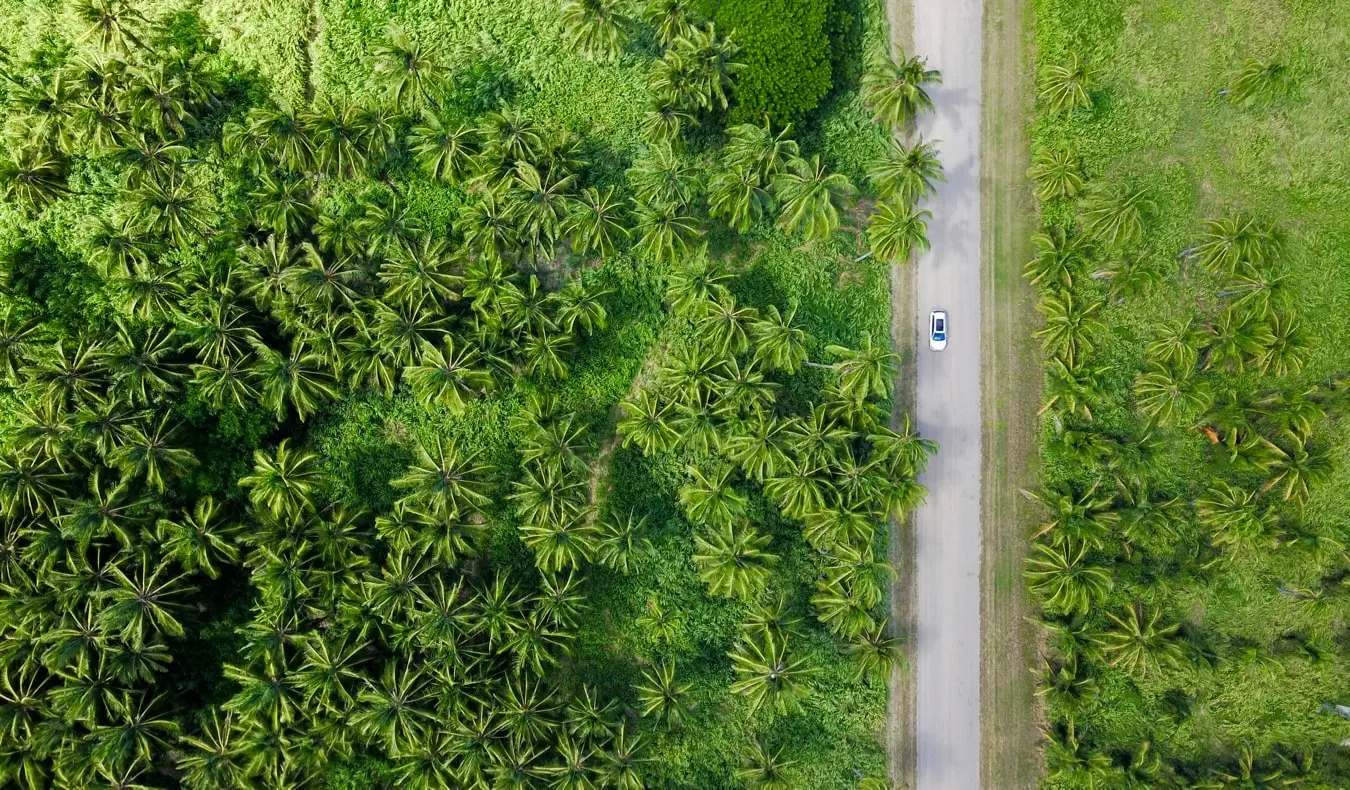 Rijden op de snelweg in Oahu, Hawaii, omringd door bossen en jungle