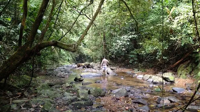 Khao Sok'ta nehir yatağında yürüyüş