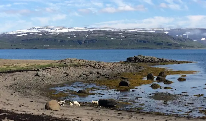 Frumoșii lacuri și munți din Westfjords din Islanda