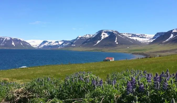 아이슬란드의 웨스트피요르드(Westfjords)에 있는 저 멀리 있는 작은 집