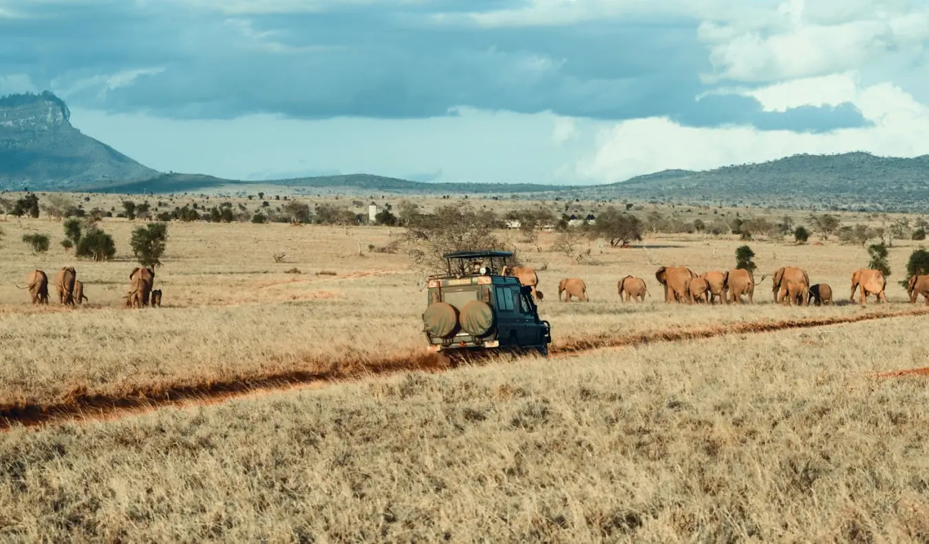 En gruppe rejsende i en jeep sammen på safari med en rejseleder