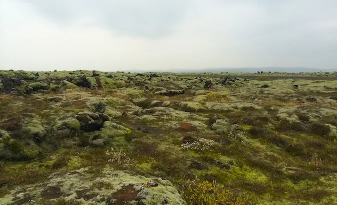 Um campo de lava coberto de musgo no sul da Islândia