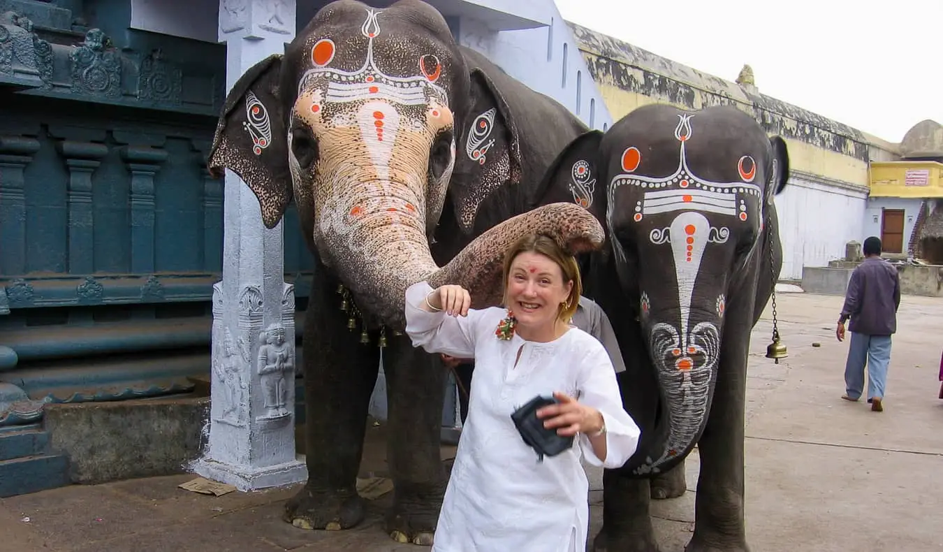 Una dona solitària a l'Índia a prop de dos elefants pintats