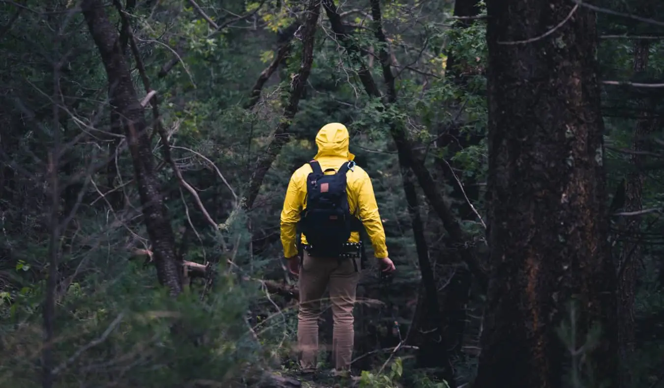 Seorang pria mendaki di hutan