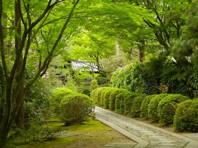 O potecă veche de piatră la complexul templului Daitoku-ji din Kyoto, Japonia