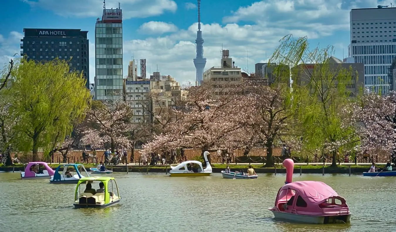 Pessoas no lago se divertindo no Parque Ueno, em Tóquio, Japão