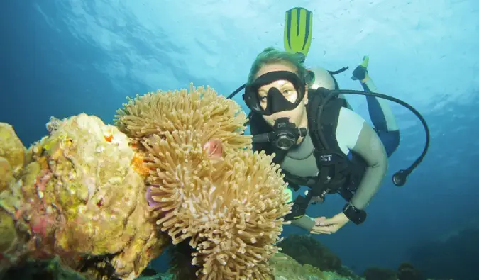 タイのタオ島近くの海でダイビングするワンダーランドのアレックス