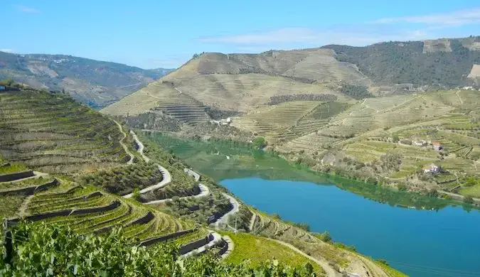 kilang wain di lembah douro portugal