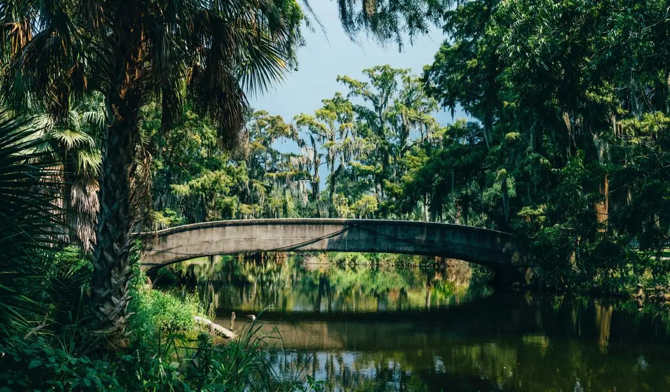 Dedaunan subur di Taman Kota New Orleans di New Orleans, Amerika Serikat