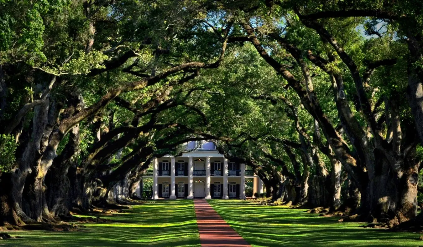 Wysadzana drzewami ścieżka w kierunku plantacji Oak Alley w pobliżu Nowego Orleanu, USA