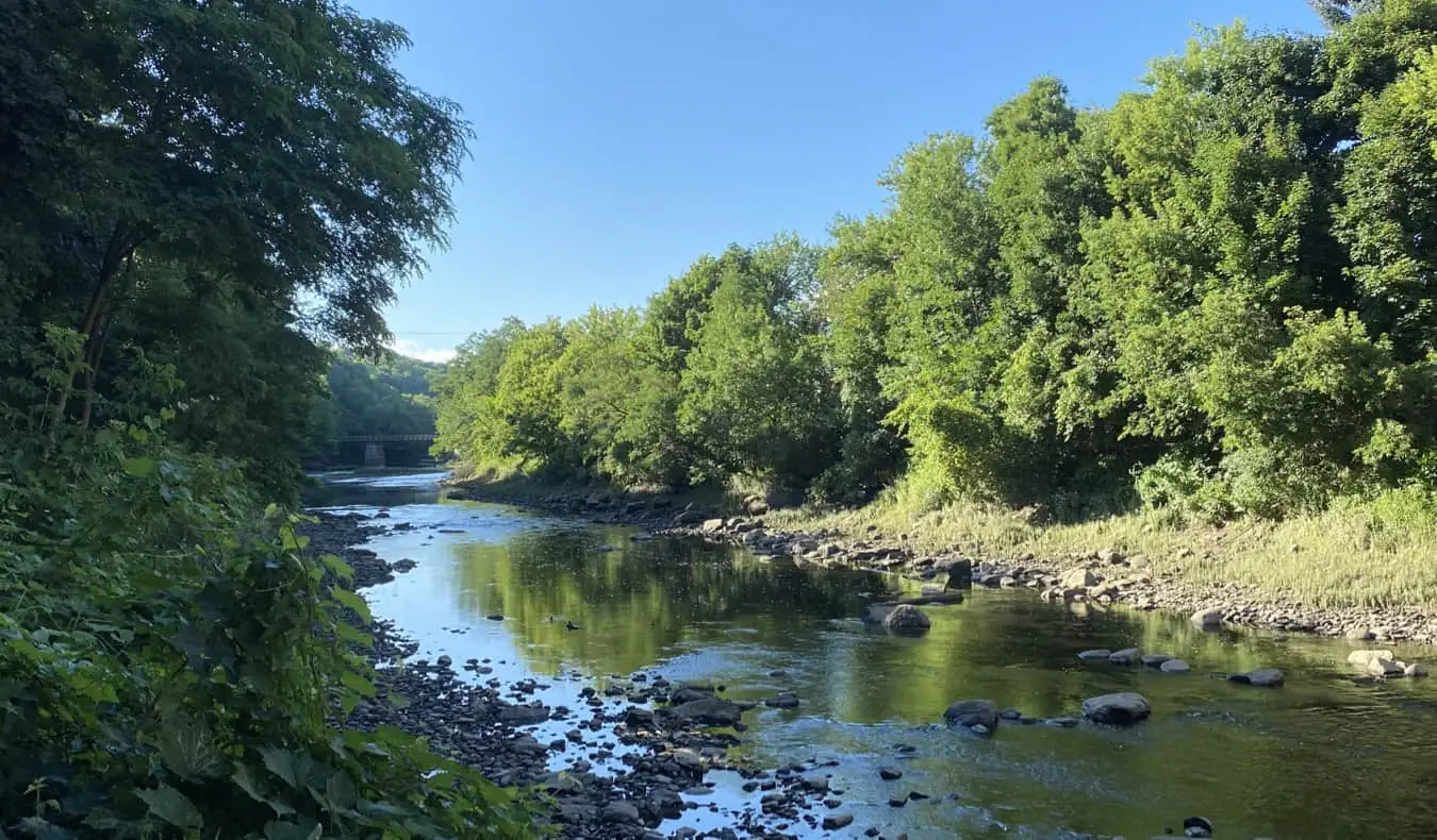 Klidná řeka obklopená stromy v Maine, USA