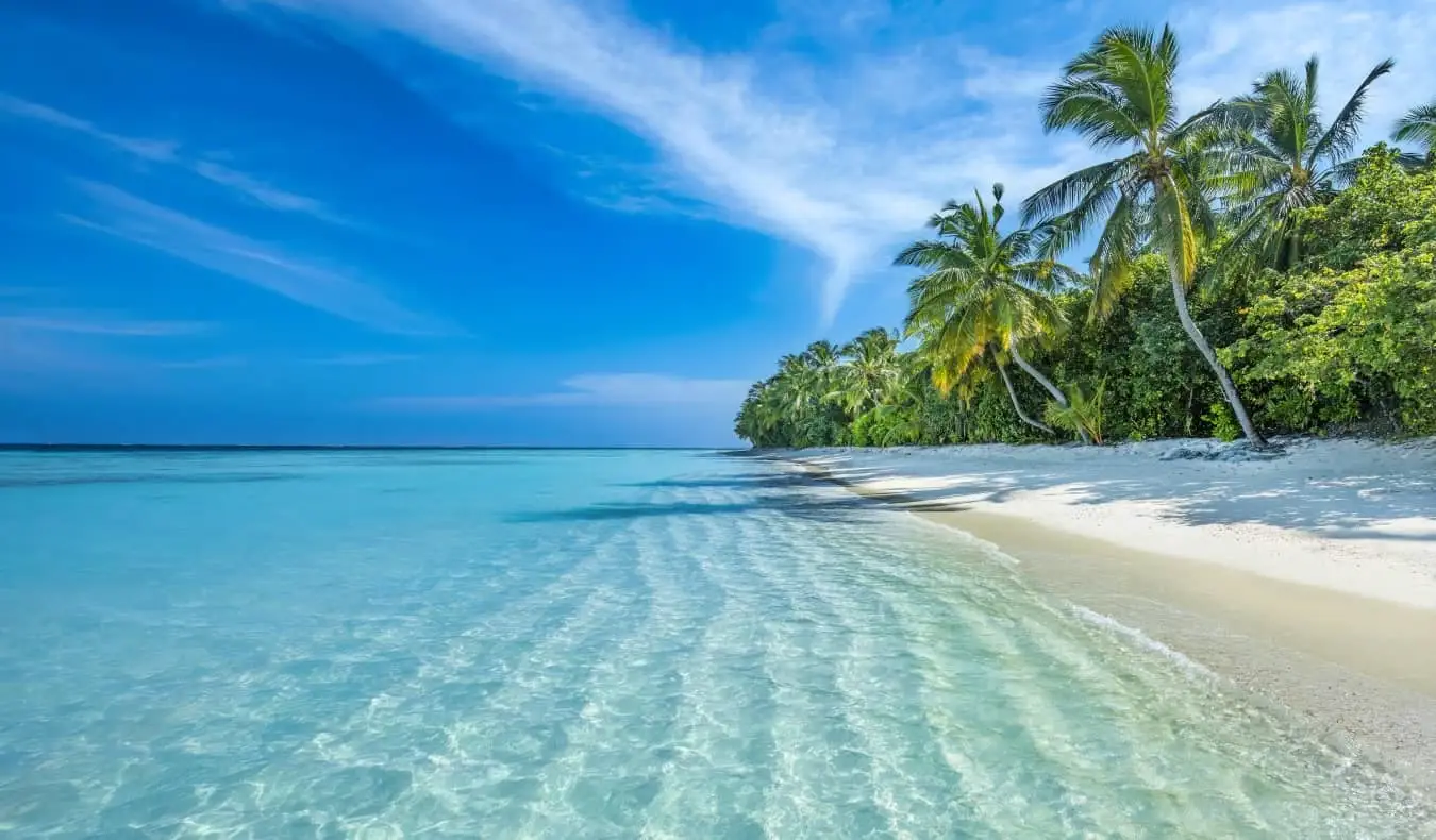 Una playa de arena blanca bordeada de palmeras en las Maldivas