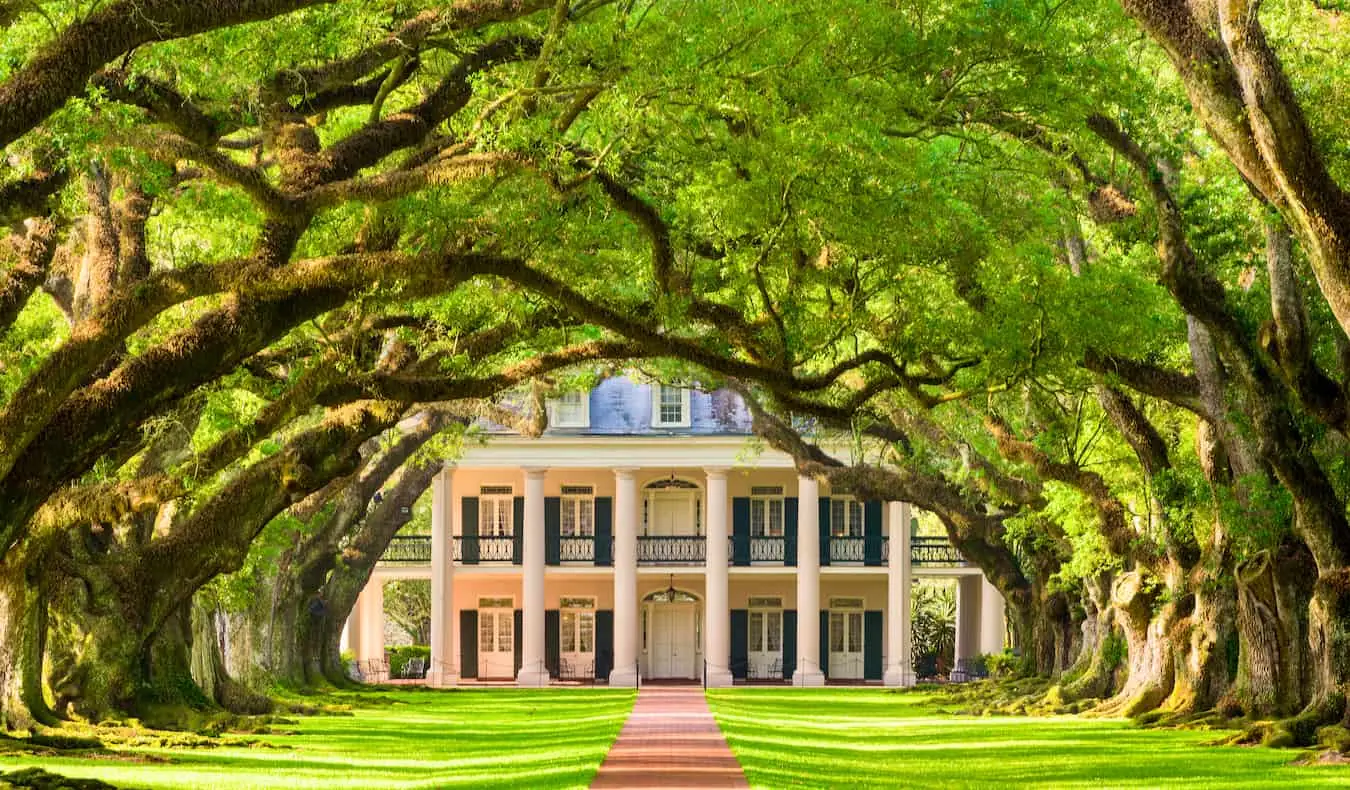 Die berühmte, von Bäumen gesäumte Oak Alley Lane auf einer Plantage in der Nähe von New Orleans, USA