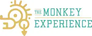 Логотип Monkey Experience