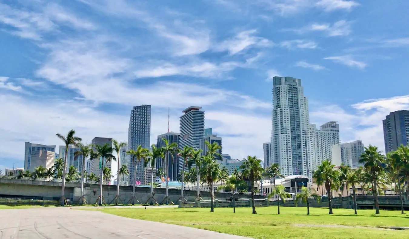 Hoch aufragende Wolkenkratzer füllen die Aussicht in der Innenstadt von Miami, mit einem Park und Palmen im Vordergrund