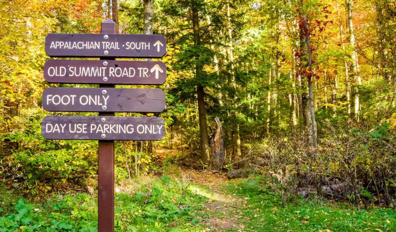 ป้ายเดินป่าเก่าๆ ในป่าใกล้ Mount Greylock ใน The Berkshires