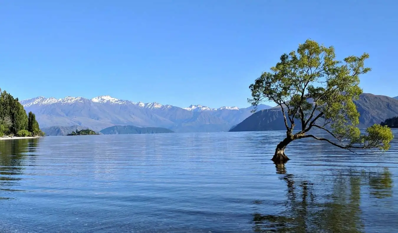 Kuulus puu Wanaka järve vees, taustal lumised mäed Uus-Meremaal Wanaka linnas