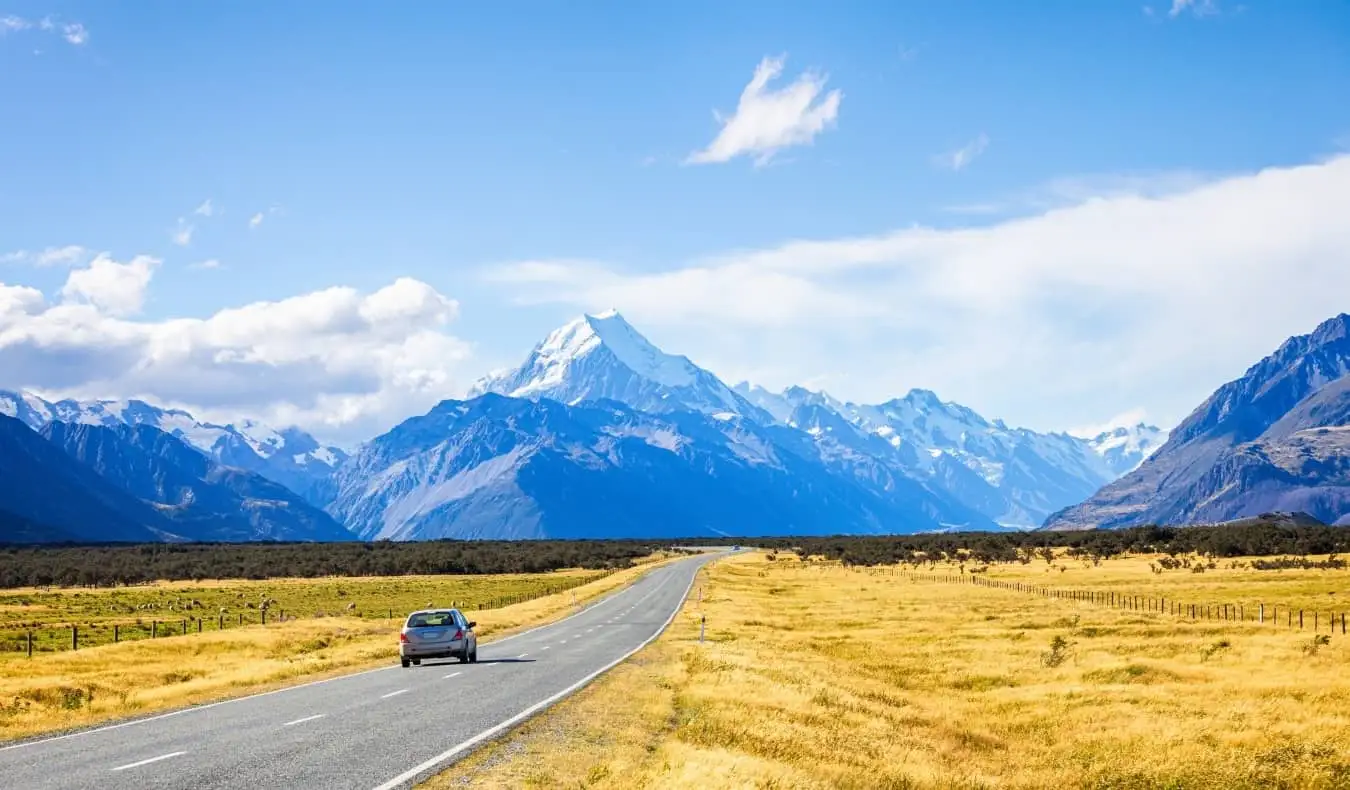 Bil kører ned ad en vej med gyldne marker på begge sider, der fører mod snedækkede bjerge på Sydøen i New Zealand