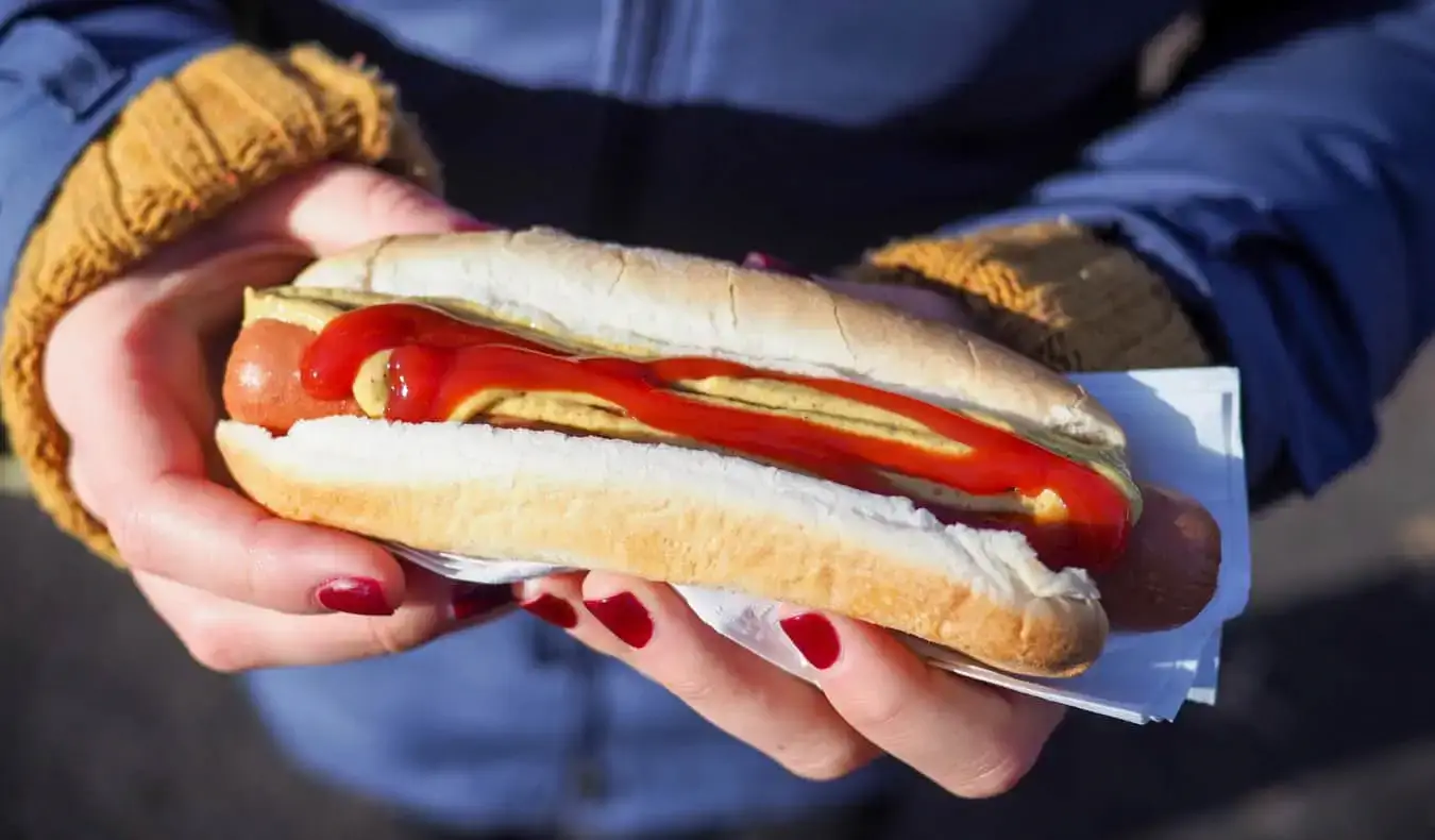 Um cachorro de rua na cidade de Nova York, EUA, com ketchup e mostarda