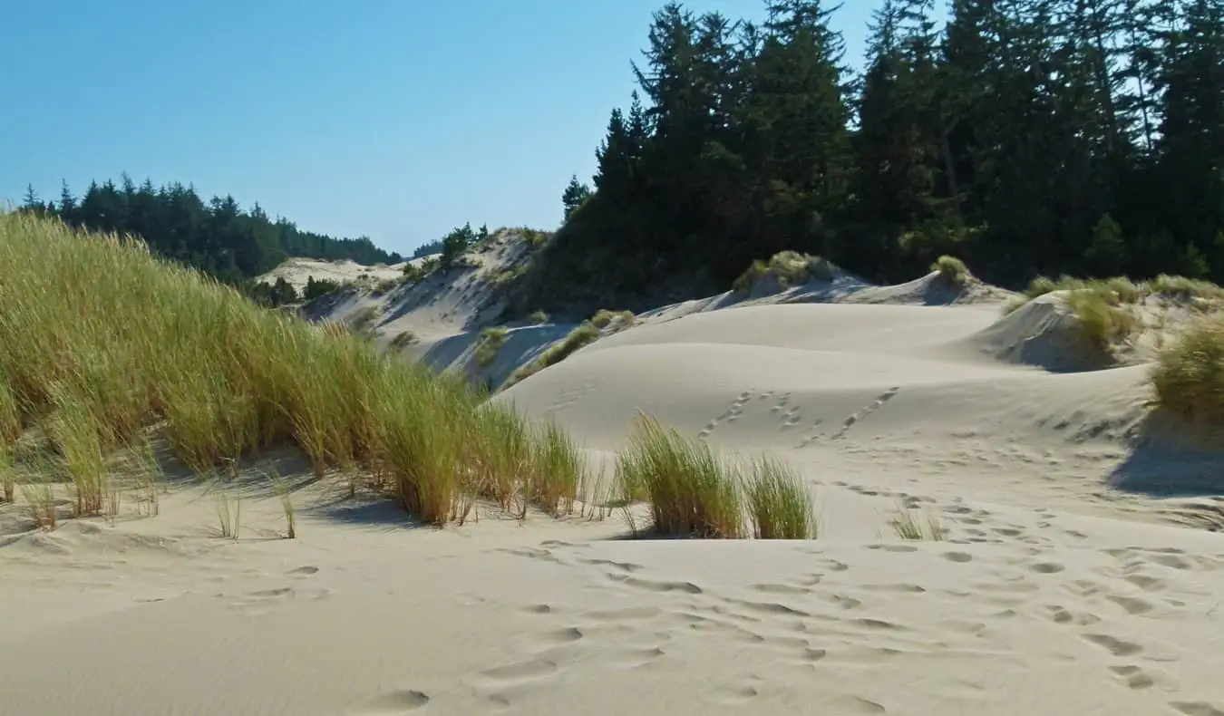 Rozlehlé písečné duny na pobřeží Oregonu, USA