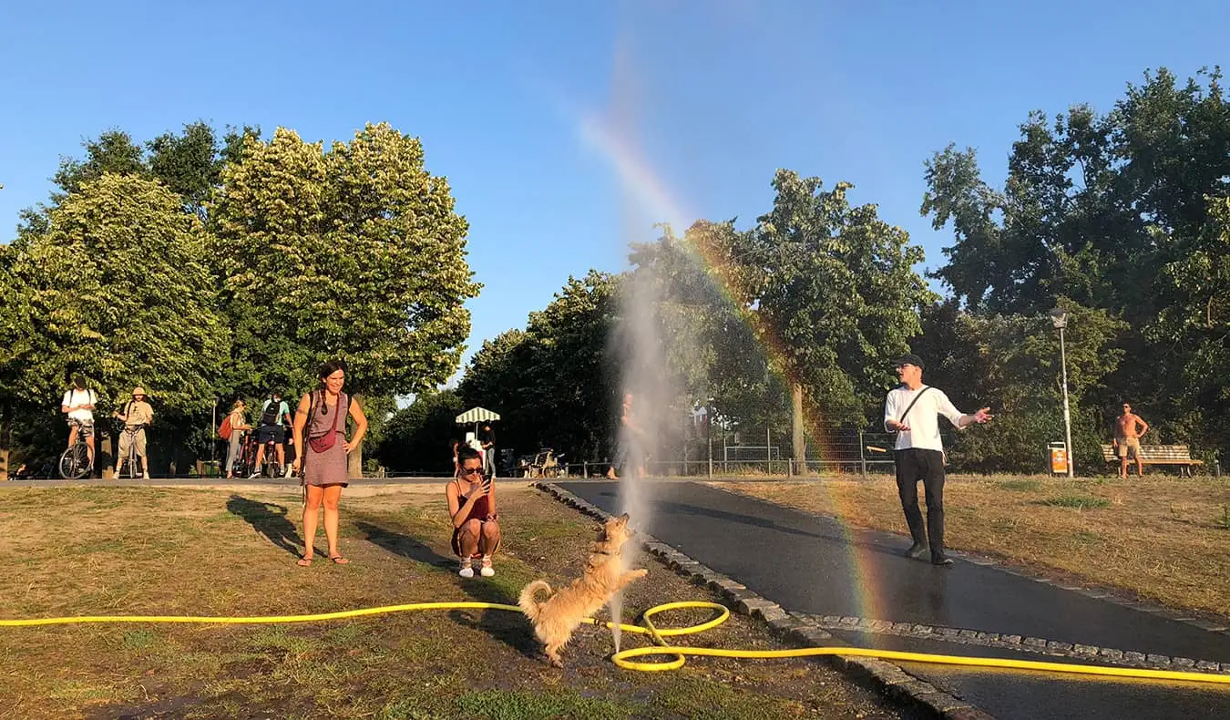 en hund, der leger i en vandsprinkler i Berlin