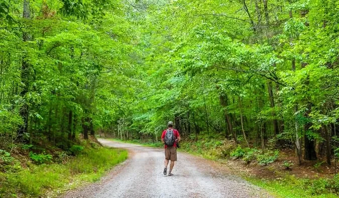 Muž kráča po listnatej ceste v štátnom parku Umstead v Raleigh v Severnej Karolíne