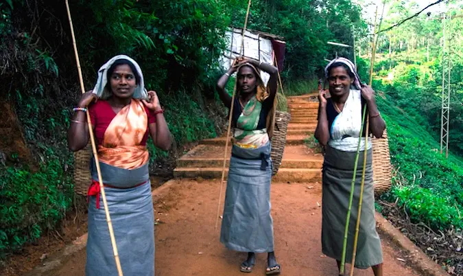 Tres mujeres locales posan para una foto mientras trabajan cerca de la selva