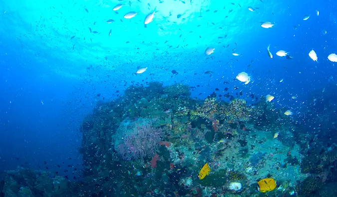 Menyelam Scuba Thailand