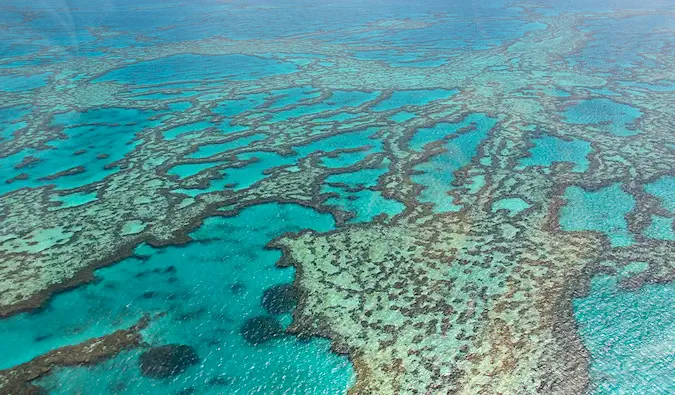 Great Barrier Reef -sukellus