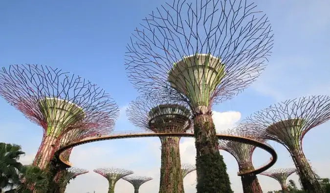 Els enormes Supertrees a Gardens by the Bay a Singapur