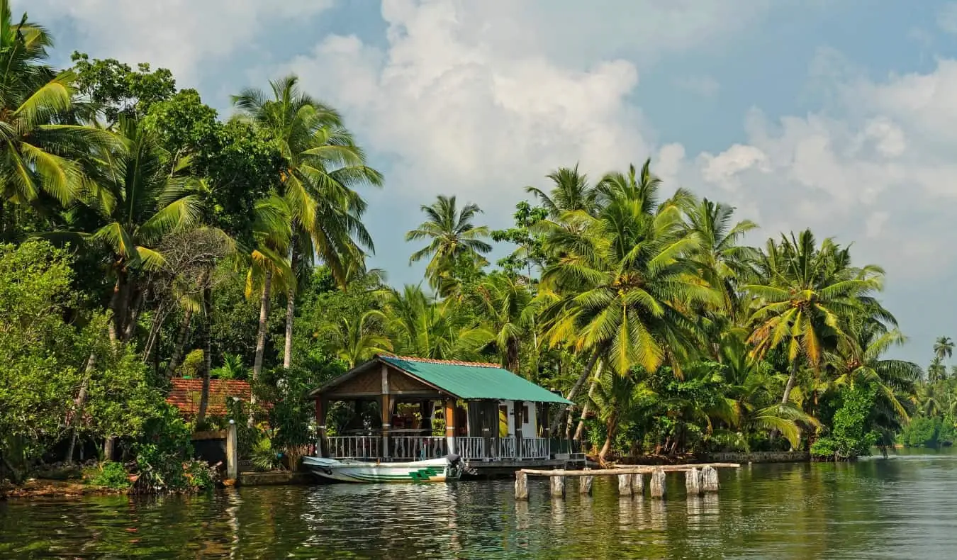 Met stro bedekt botenhuis omgeven door palmbomen in Sri Lanka