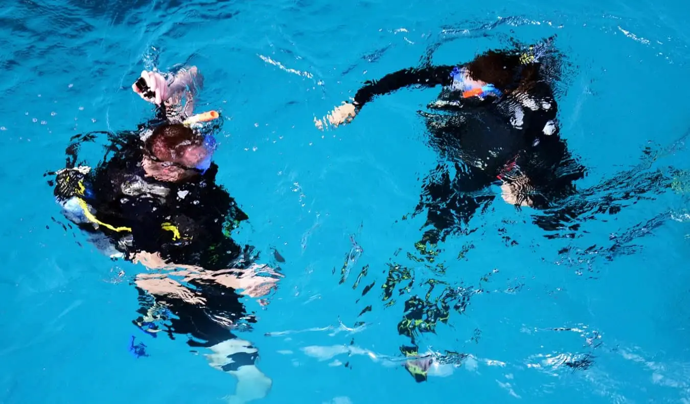 Sepasang penyelam scuba bersiap menyelam di Australia