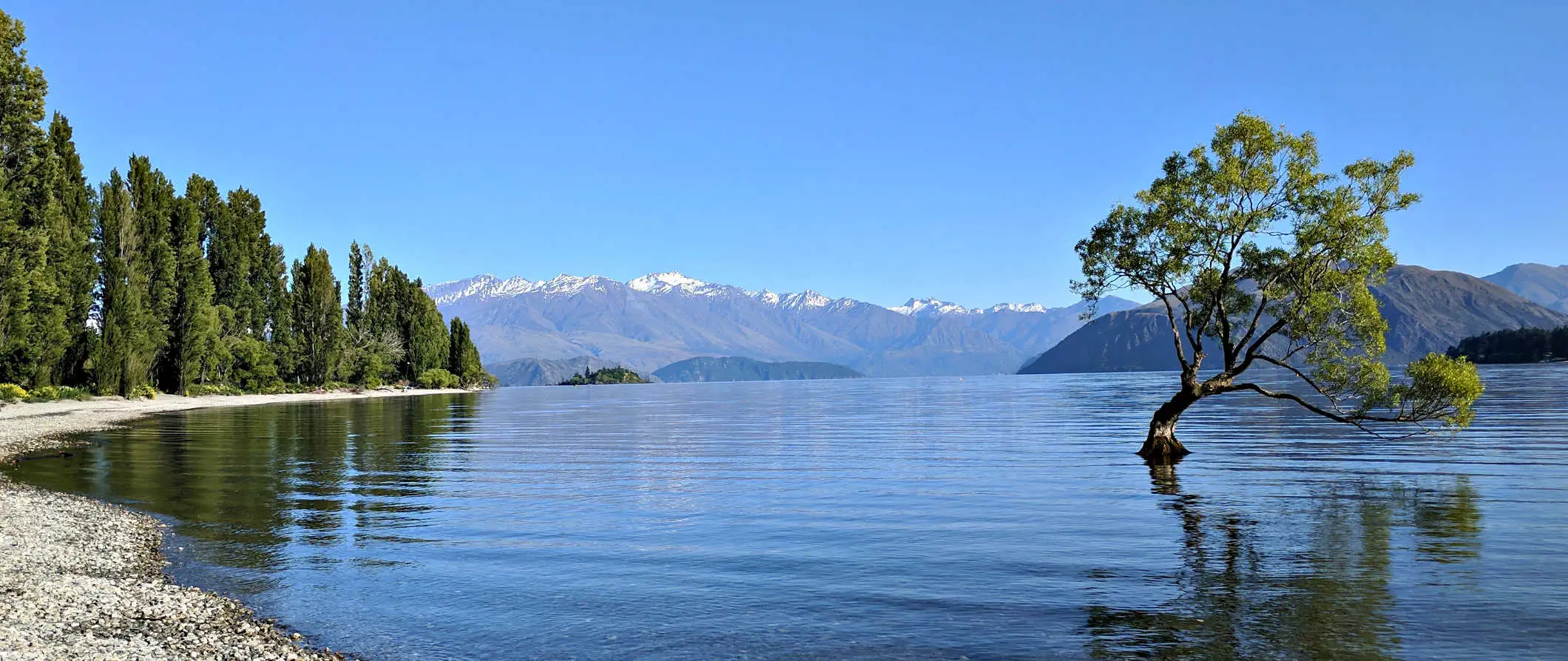 Sebatang pohon bersandar ke satu sisi di danau, dengan latar belakang pegunungan yang tertutup salju, di Wanaka, Selandia Baru