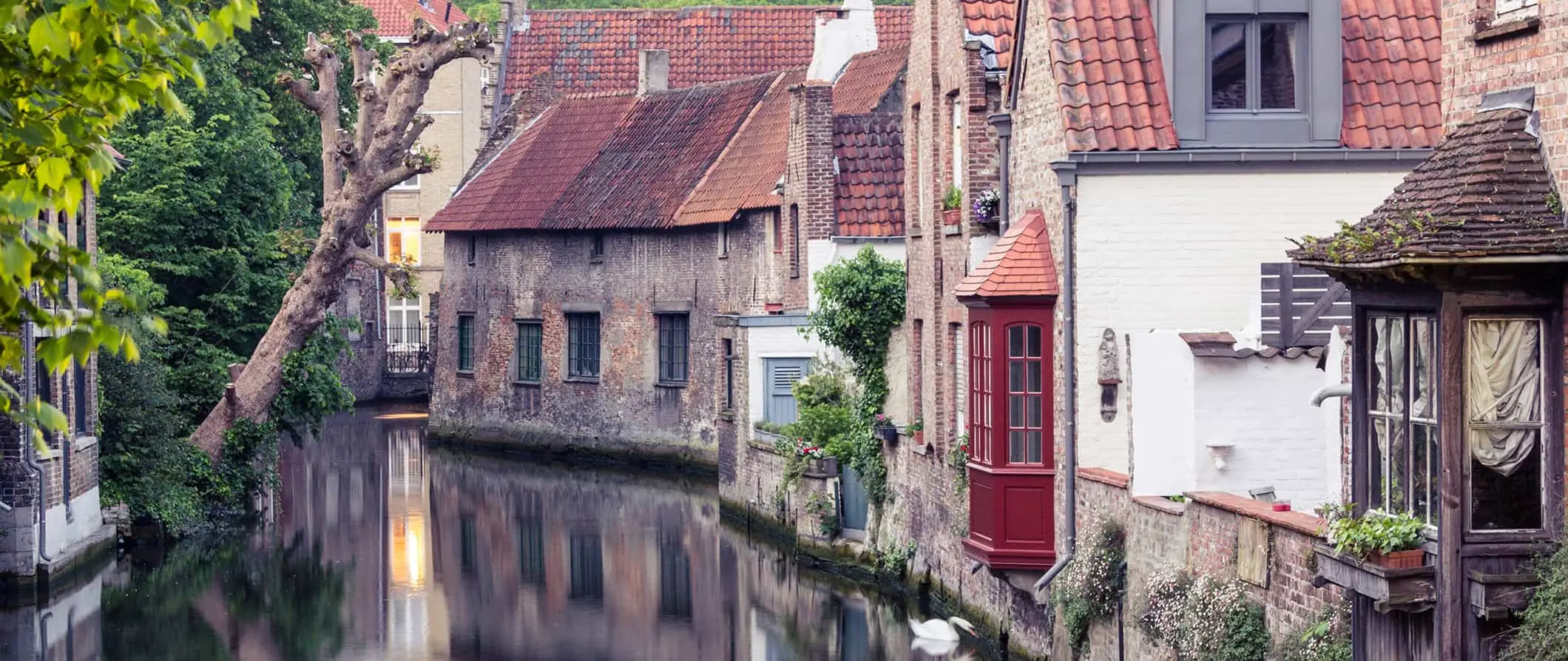 Uno storico e tranquillo canale a Bruges, in Belgio, circondato da vecchie case e da una vegetazione lussureggiante