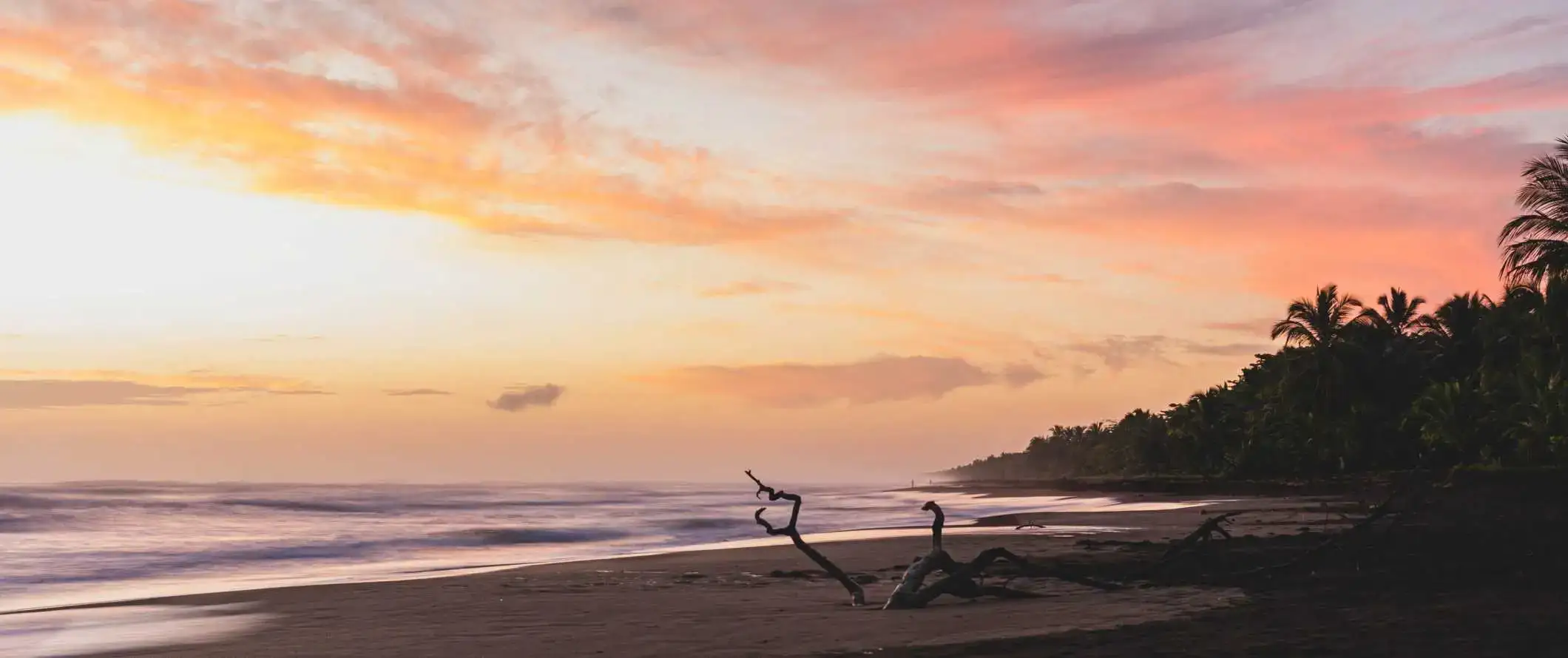 พระอาทิตย์ตกหลากสีสันริมชายหาดใน Tortuguero ประเทศคอสตาริกา