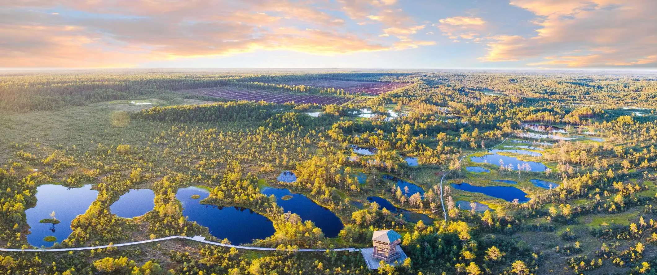 Panoramautsikt över sjöar och myrar i Estland